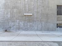 two doors and a fire hydrant are standing against the wall of a building,