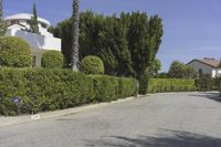 California Suburban Home in a Residential Area