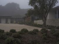 A Suburban Home in California: Surrounded by Trees in the Neighborhood