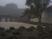 A Suburban Home in California: Surrounded by Trees in the Neighborhood