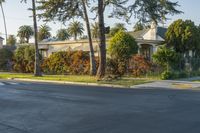 a residential neighborhood with palm trees and a fence surrounding the street corner, in san diego