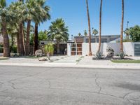 California Suburban House with Palm Tree