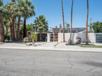 California Suburban House with Palm Tree