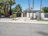 California Suburban House with Palm Tree