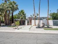 California Suburban House with Palm Tree