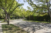 California Suburban Landscape with Asphalt Road