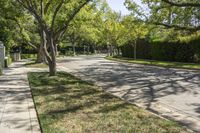 California Suburban Landscape with Asphalt Road 002