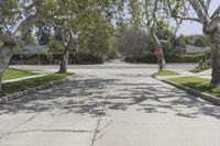 California Suburban Landscape: A Road Lined with Trees