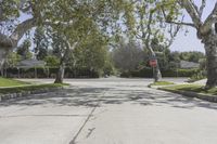 California Suburban Landscape: A Road Lined with Trees