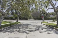 California Suburban Landscape: A Road Lined with Trees