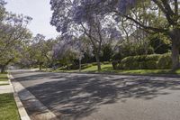 California Suburban Neighborhood: Exploring Botany