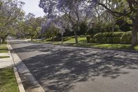 California Suburban Neighborhood: Exploring Botany