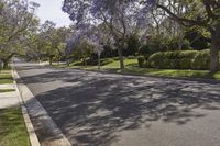 California Suburban Neighborhood: Exploring Botany