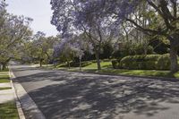 California Suburban Neighborhood: Exploring Botany