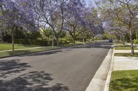 California Suburban Neighborhood: Exploring Botany