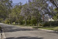 California Suburban Neighborhood: Exploring Botany