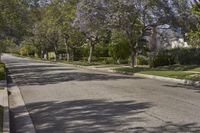 California Suburban Neighborhood: Exploring Botany