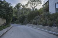 California Suburban Neighborhood at Dawn
