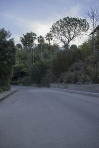 California Suburban Neighborhood at Dawn