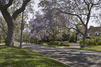 Suburban Neighborhood Home in California