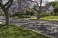 Suburban Neighborhood Home in California