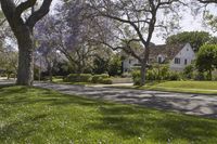 Suburban Neighborhood Home in California