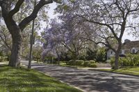 Suburban Neighborhood Home in California