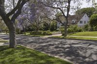 Suburban Neighborhood Home in California