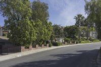 trees lining a residential street lined with houses and bushes to either side of the street