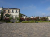 a woman rides a skateboard through the sidewalk next to a house with tall shrubs and bushes