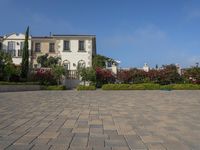 a woman rides a skateboard through the sidewalk next to a house with tall shrubs and bushes