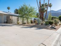 a white and brown house in a desert landscaped area next to two palm trees