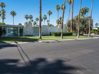 California Suburban Villa: Surrounded by Palm Trees