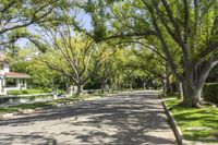 a street lined with trees and bushes in the city of palm springs, florida usa