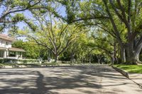 a street lined with trees and bushes in the city of palm springs, florida usa