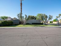 California Suburban: Residential Road and Open Space