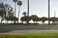 a long wide empty street with cars and palm trees on the sides of the road