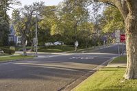 California Suburban Road: Asphalt Under a Clear Sky