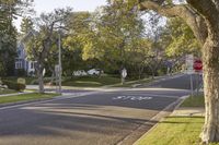 California Suburban Road: Asphalt Under a Clear Sky