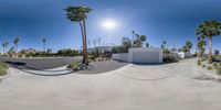 a skateboard ramp and a palm tree lined road in a park area with a sun shining on the trees