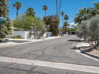 California Suburban Roads with Palm Trees under Clear Sky