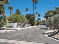 California Suburban Roads with Palm Trees and Clear Sky