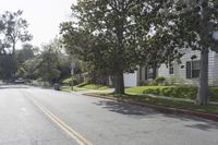 a couple of houses sitting on the side of the road next to a tree and curb