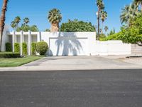 the driveway of the house is blocked off by a fence and palm trees near the entrance