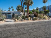 California Suburban Villa: Residential Living in the Heart of Palm Springs