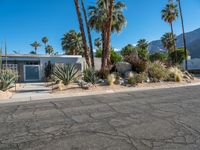 California Suburban Villa: Residential Living in the Heart of Palm Springs