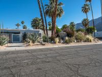 California Suburban Villa: Residential Living in the Heart of Palm Springs