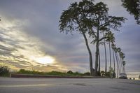 a skateboarder going down a set of stairs near trees and sunset in the background
