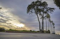 a skateboarder going down a set of stairs near trees and sunset in the background
