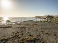 a grassy field by the shore and a cliff with rocks in the ocean in the background